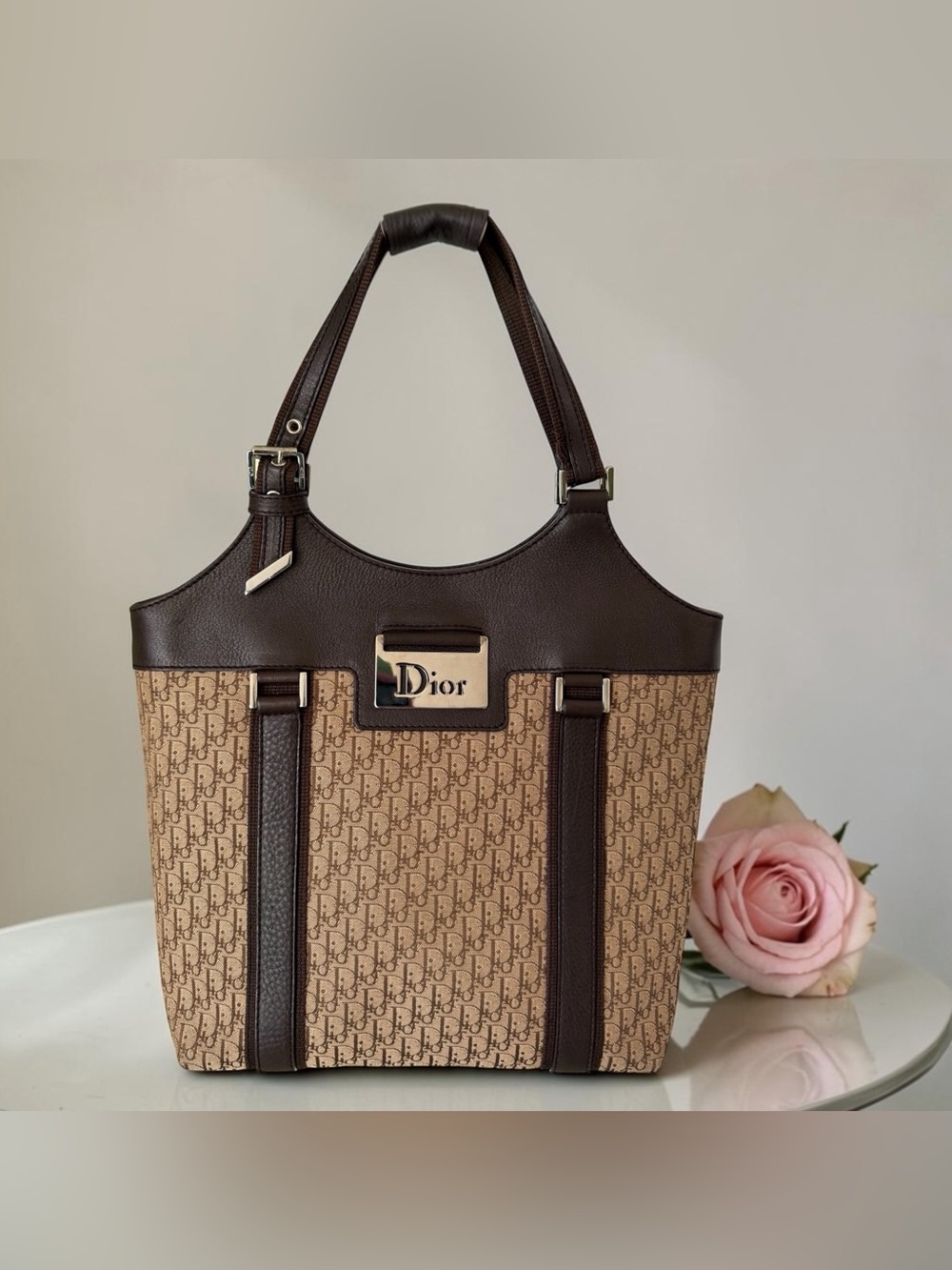 Christian Dior Street Chic Trotter Tote Bag.